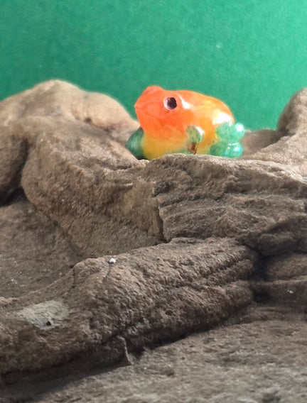 002 Granulated Poison Dart Frog