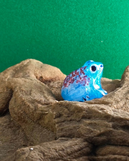 003 Harlequin Poison Dart Frog "Koi"