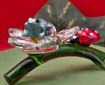 007 Harlequin Dart Frog "El Pangan"