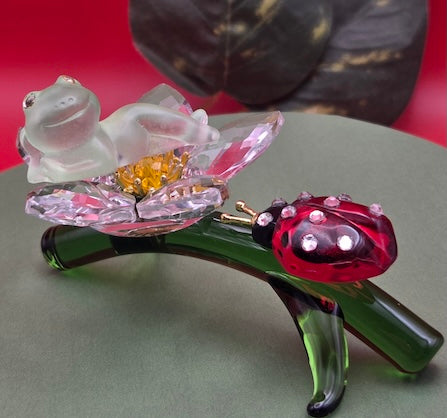 008A Northern Glass Frog