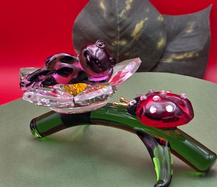 009A Purple Harlequin Toad