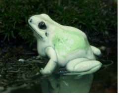 010 Mint Dart Frog