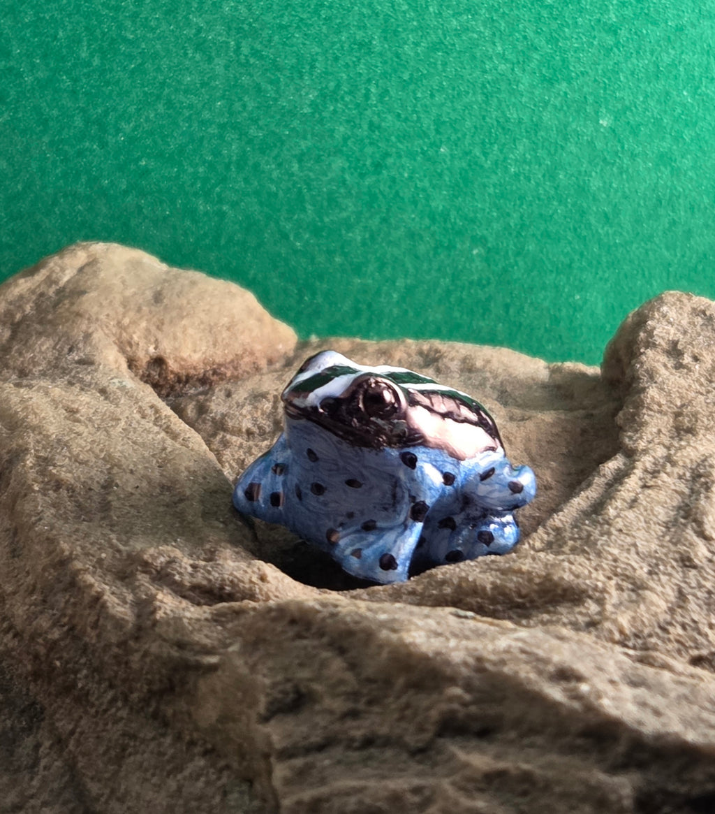 011 White and Black Poison Dart Frog