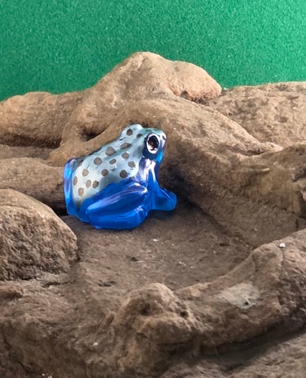015 Blue Poison Dart Frog