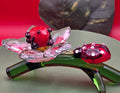 016 Red Backed Poison Frog