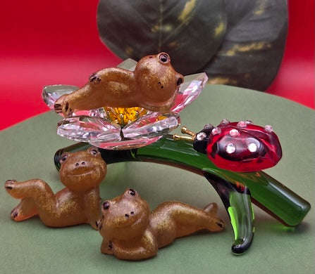 019A Golden Poison Dart Frog
