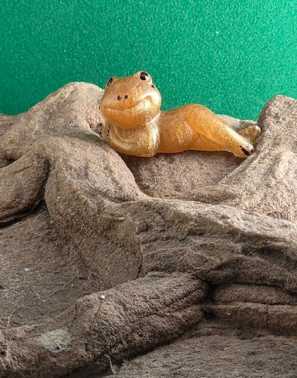 019A Golden Poison Dart Frog