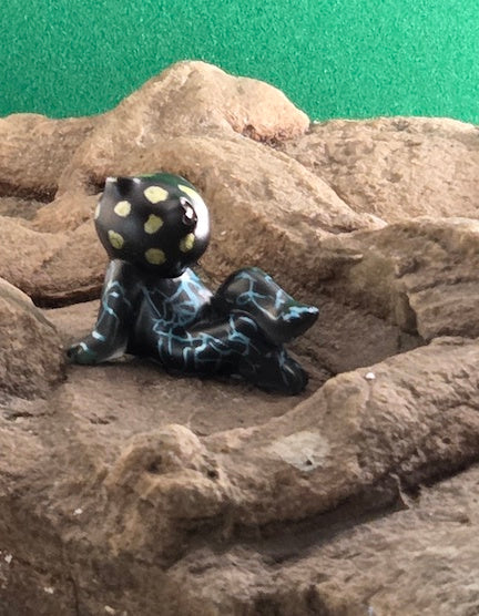 020A Spotted Poison Dart Frog
