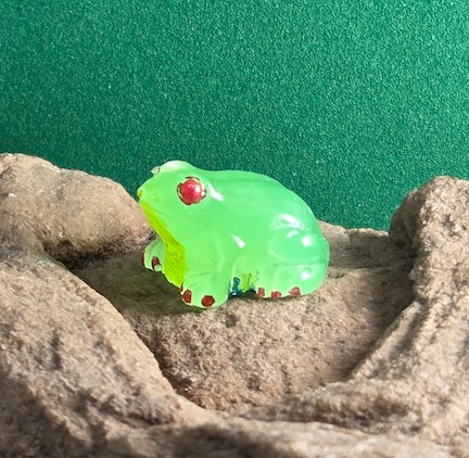 021 Red Eyed Tree Frog