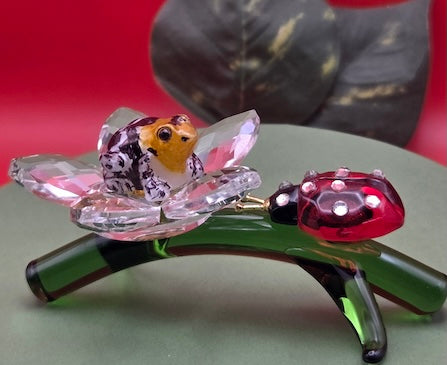 026 Fantastic Poison Frog