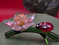 027 Sarayacu Tree Frog