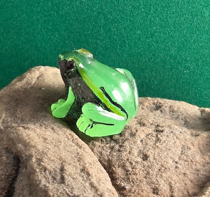 029 Three-Striped Poison Frog