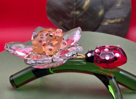 031 Napo Glass Frog