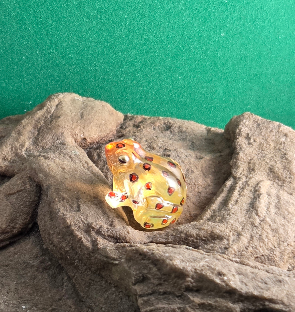031 Napo Glass Frog