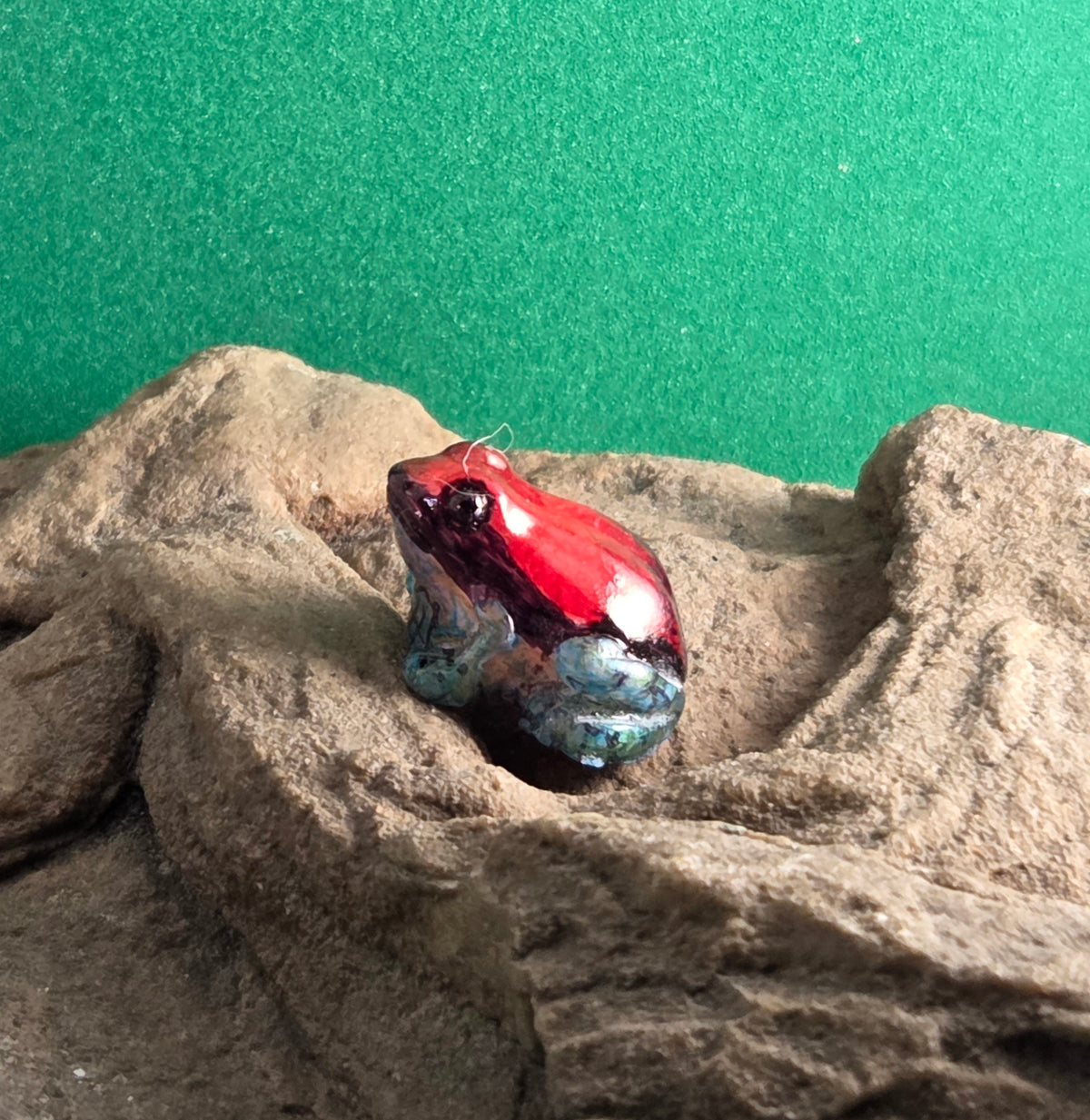 032 Ruby Poison Frog