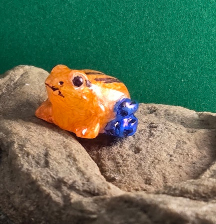 033 Silverstone's Poison Frog