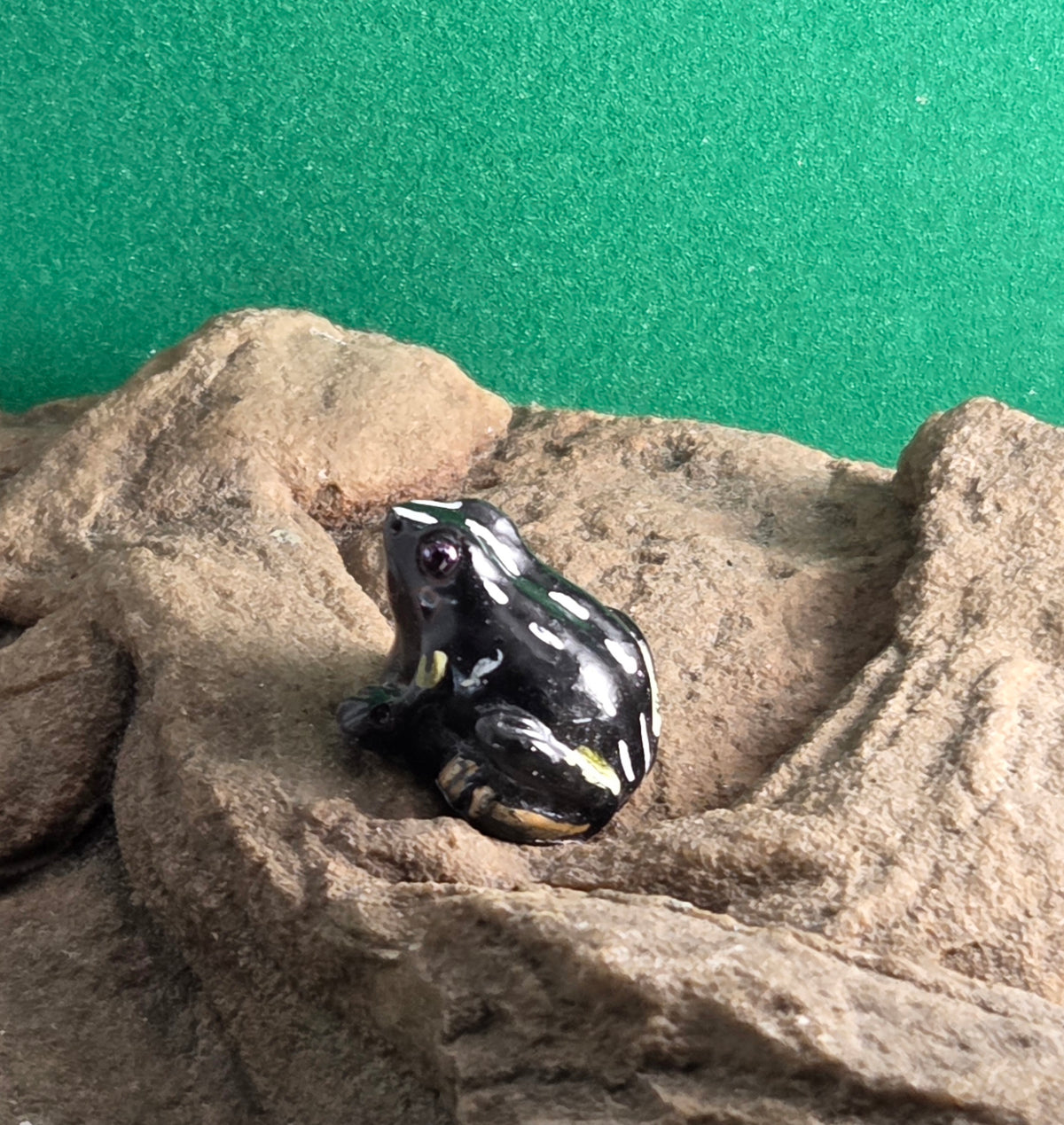 034 Brazil-Nut Poison Frog