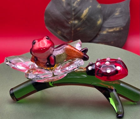 035A Cauca Poison Frog