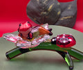 035A Cauca Poison Frog