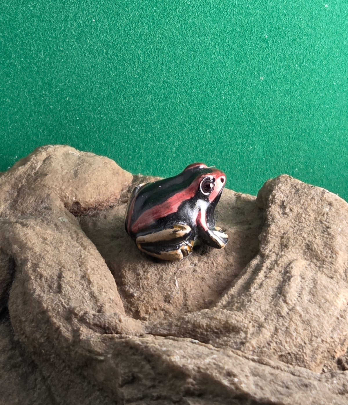 035 Cauca Poison Frog