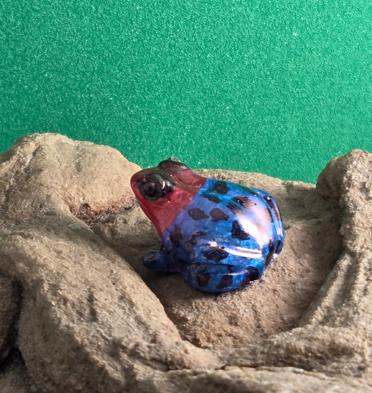 036 Blessed Poison Frog