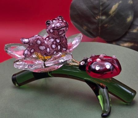037A Maranon Poison Frog