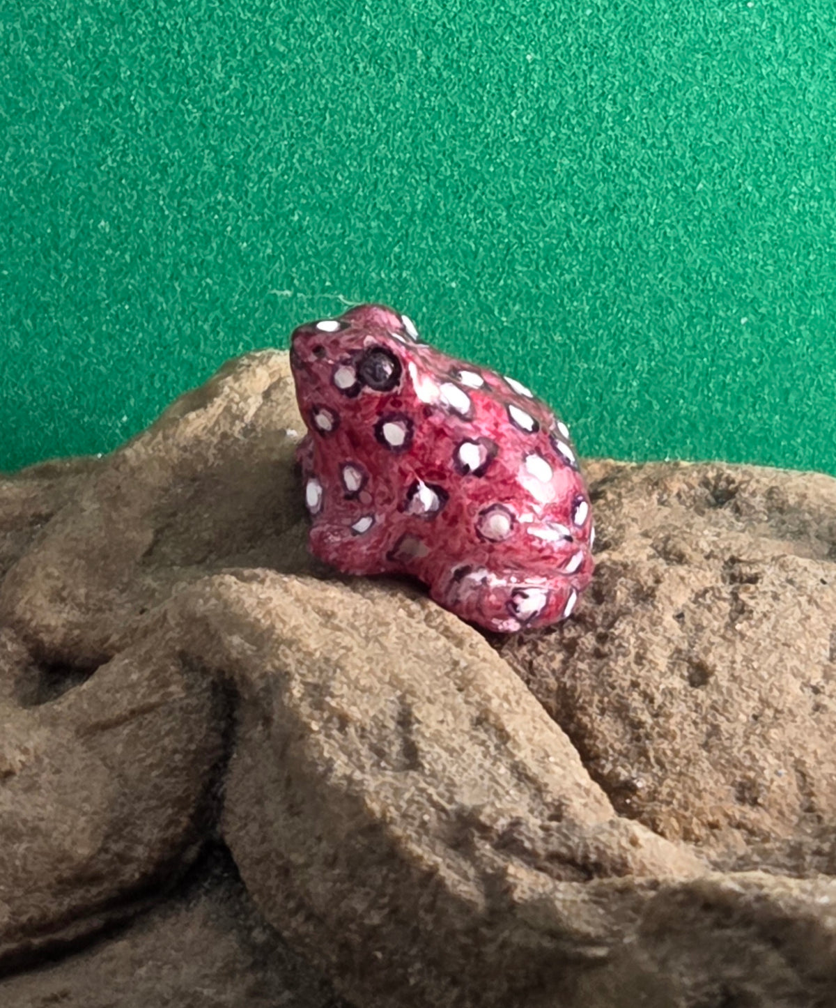 037 Maranon Poison Frog