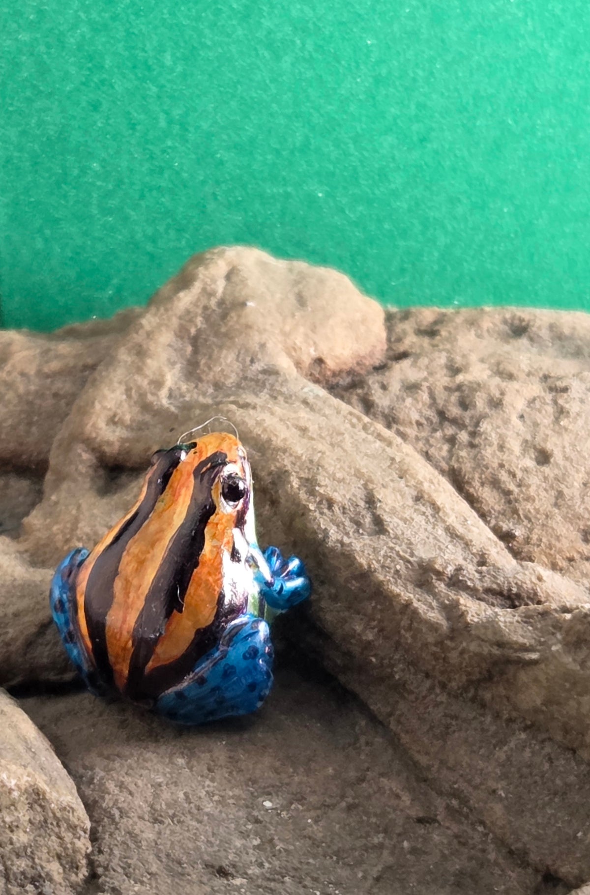 038 Red Uakari Poison Frog