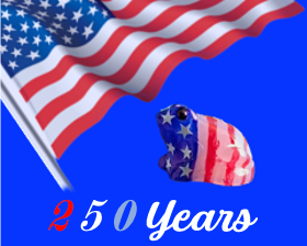 040 Patriotic Frog