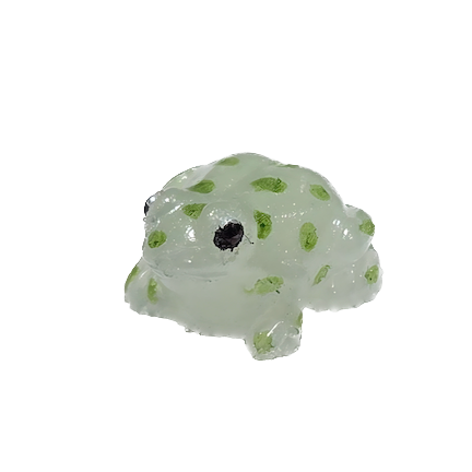 041 Tiznit Toad
