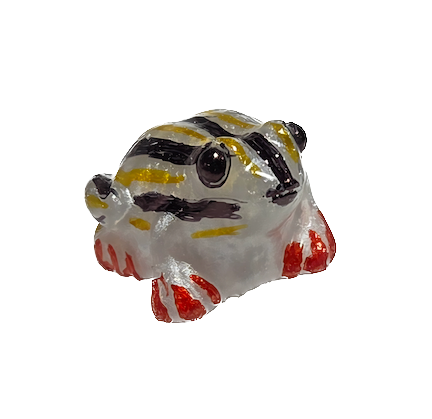 043 Painted Reed Frog